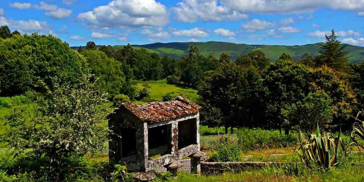 App de Inteligencia Artificial Radiografía de la España Vaciada