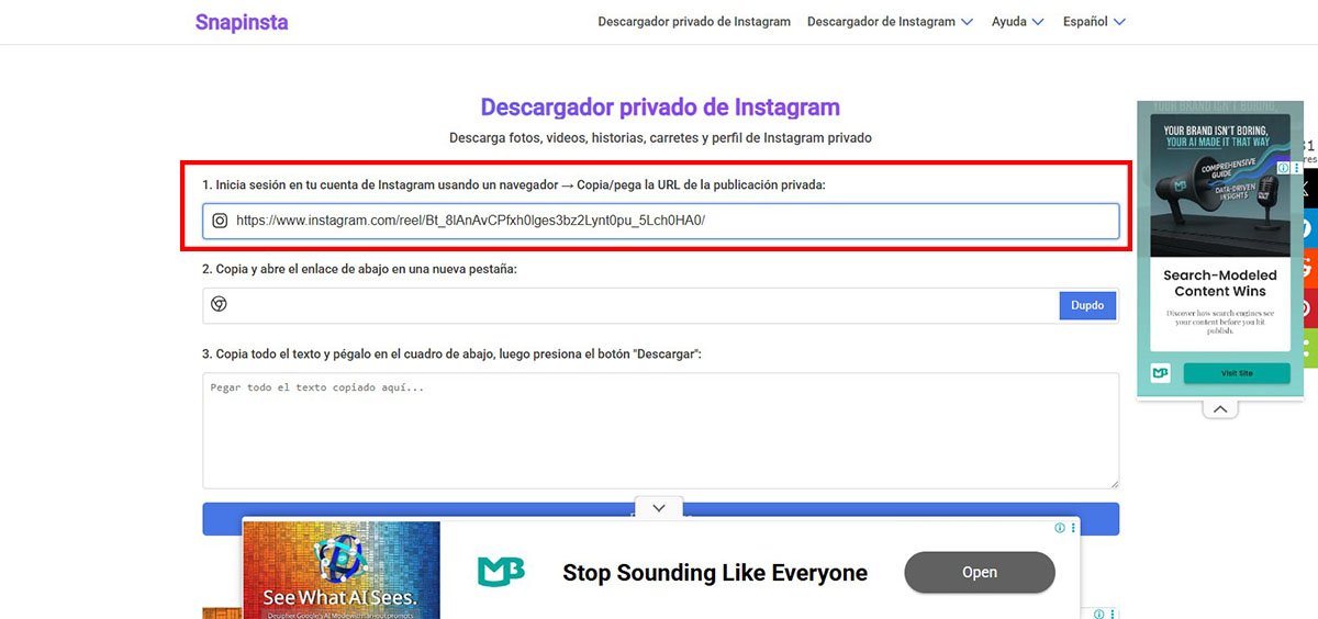 Descargar reels de Instagram - Cómo Descargar Reel de Instagram Privado