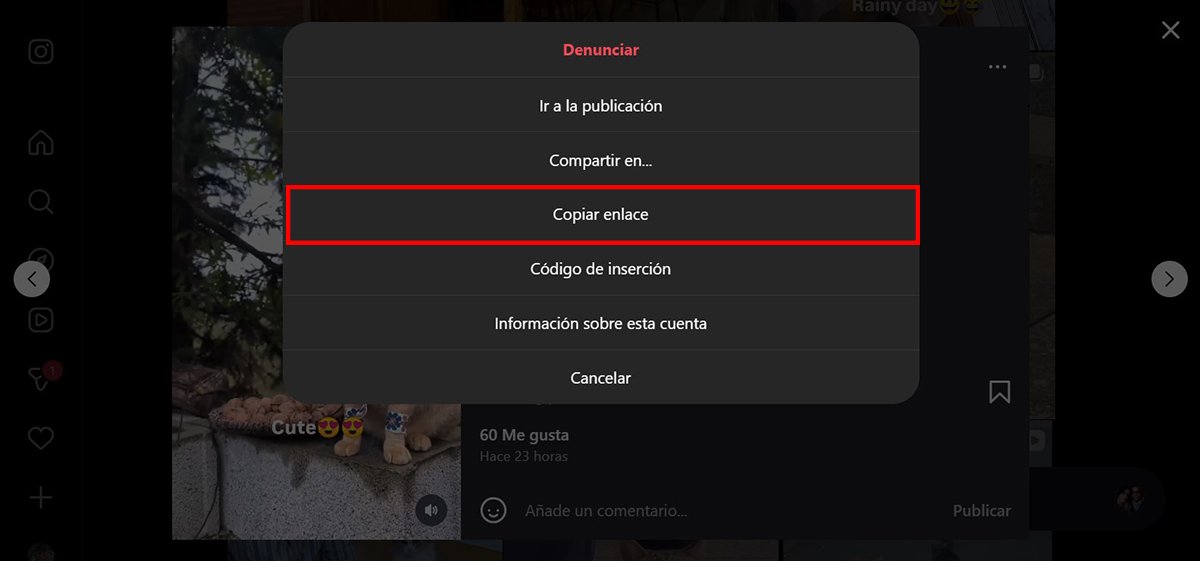 Descargar reels de Instagram - Cómo Descargar desde la Web?