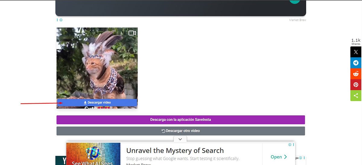 Descargar reels de Instagram - Cómo Descargar desde la Web?
