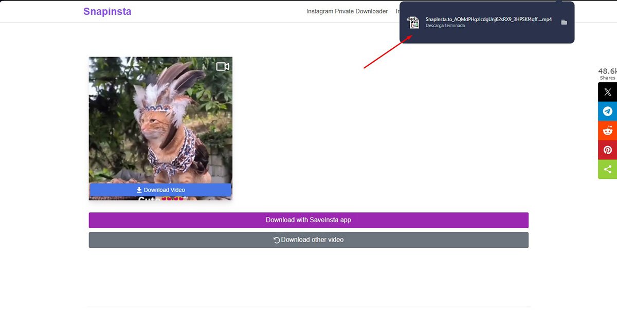 Descargar reels de Instagram - Cómo Descargar desde la Web?