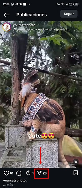 Descargar reels de Instagram - Cómo Descargar desde una App!