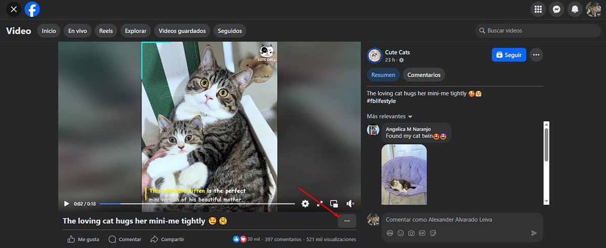 Cómo Descargar Reels de Facebook Desde la PC