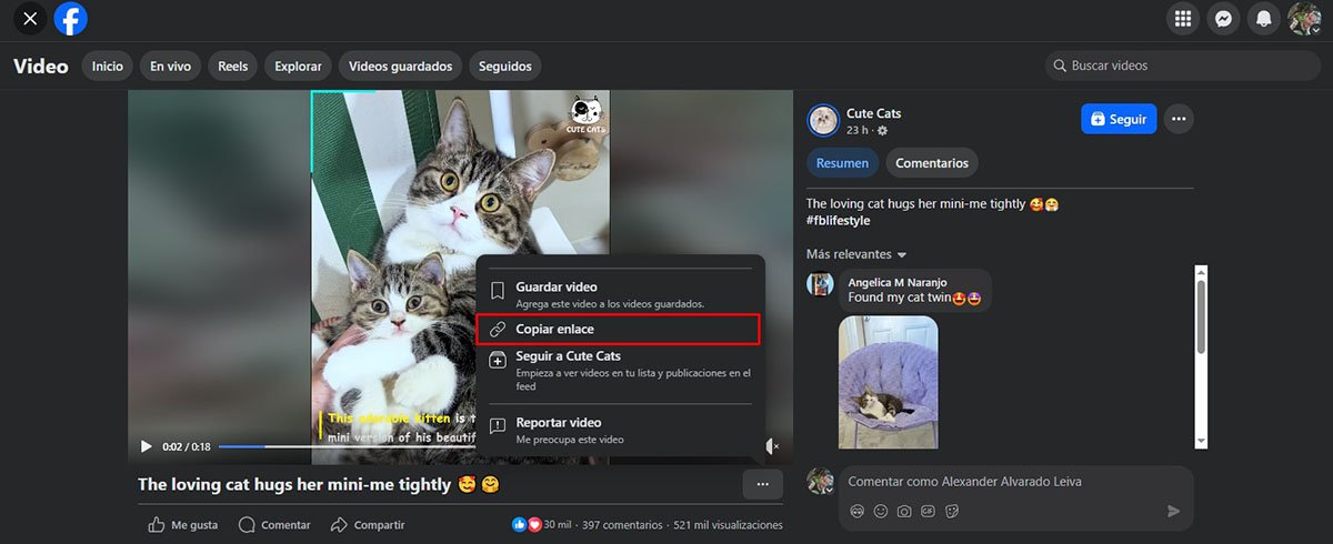 Cómo Descargar Reels de Facebook Desde la PC_4