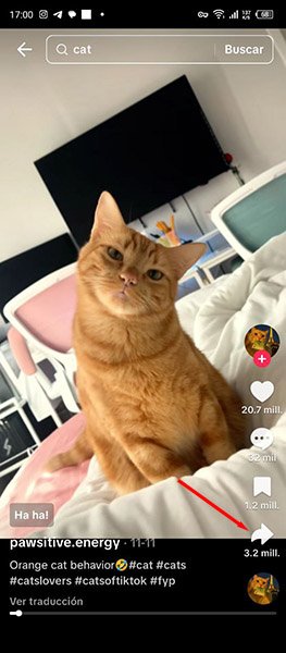 Cómo Descargar Videos de TikTok Desde el Teléfono Inteligente