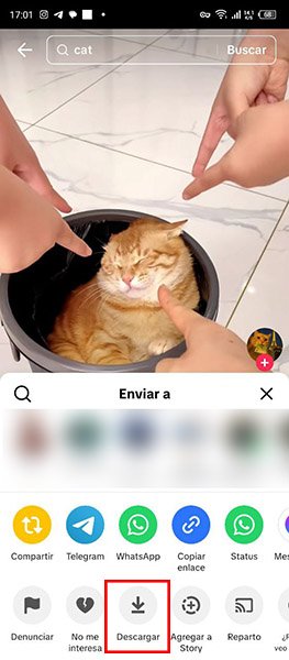 Cómo Descargar Videos de TikTok Desde el Teléfono Inteligente