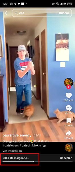 Cómo Descargar Videos de TikTok Desde el Teléfono Inteligente