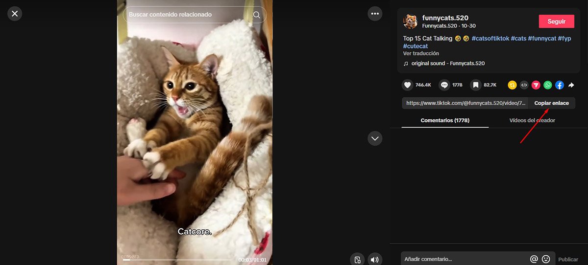 Cómo Descargar Videos de TikTok Desde la PC