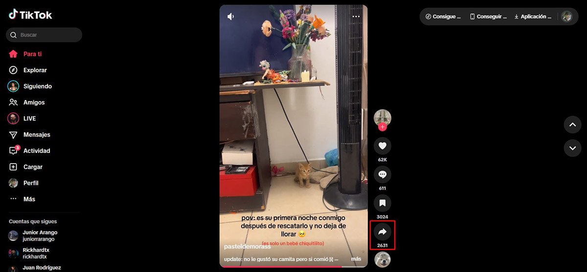 Cómo Descargar Videos de TikTok Desde la PC