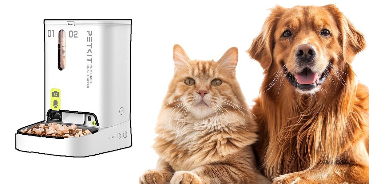 Ventajas del Comedero Inteligente Para Mascotas de PETKIT